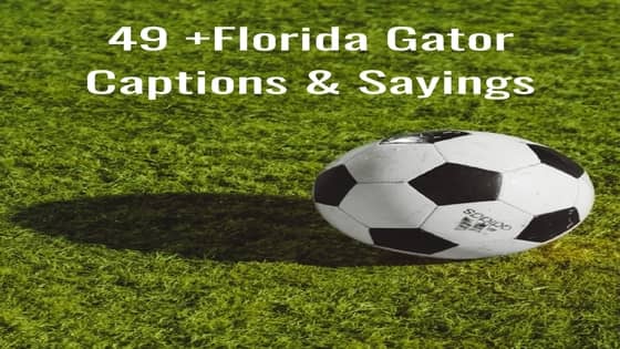 Trending Florida Gator Instagram Captions | Famous Sayings & Quotes (2021)