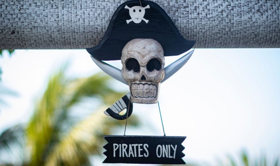 Most Interesting Things You Should Know About Pirate Flags 