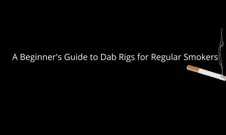  A Beginner's Guide to Dab Rigs for Regular Smokers