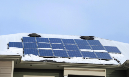 The Complete Guide To Buying Solar Panels for House and Home
