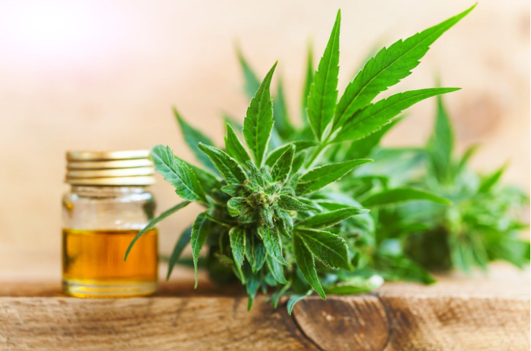 Unlocking the Power of CBD: The Strongest Cannabinoid for Pain Relief